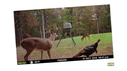 Moultrie XA7000i Integrated Cellular Game/Trail Camera 20MP - image 5 from the video